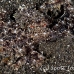 octopus_v_white_ta_hsb_r_h_0182_kom5169.jpg